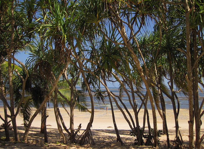 Shanzu Beach