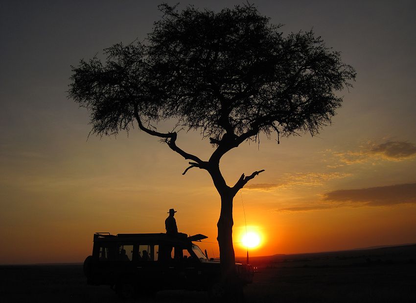 Sundowner