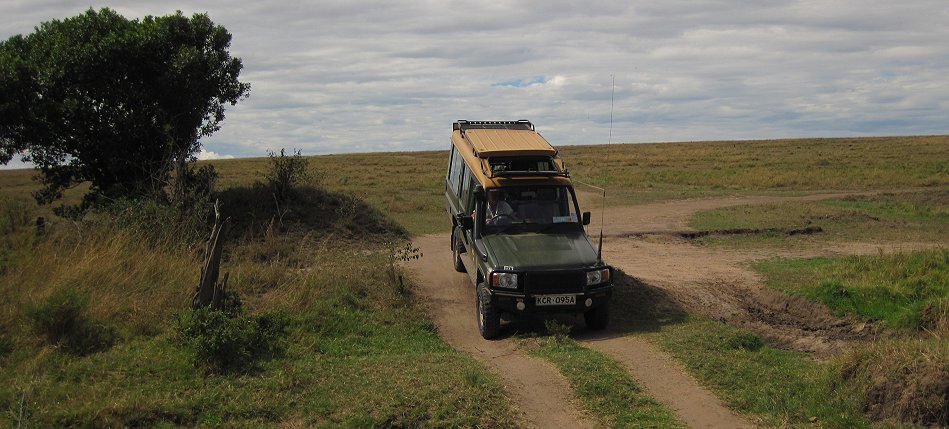 Wenn die Topi Kälber das Licht der Welt erblicken - 2 Wochen Safari in der Masai Mara