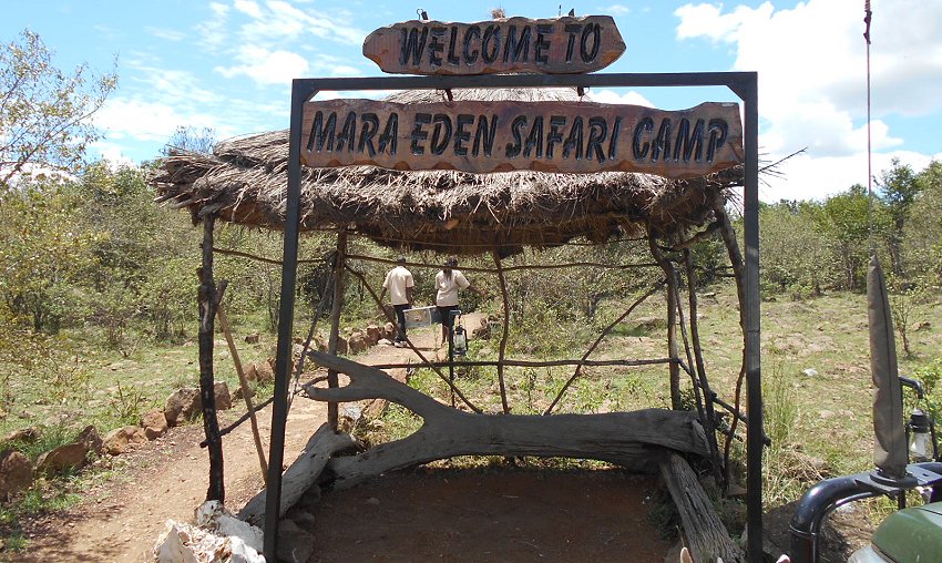 Mara Eden Safari Camp -  Mara River, Masai Mara