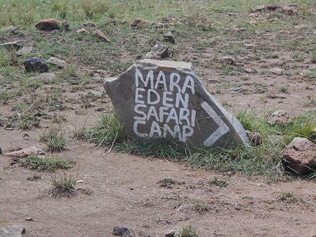 Mara Eden safari Camp