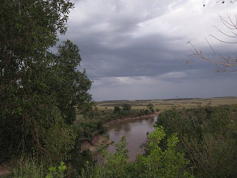 Mara Eden Safari Camp - Mara River, Masai Mara