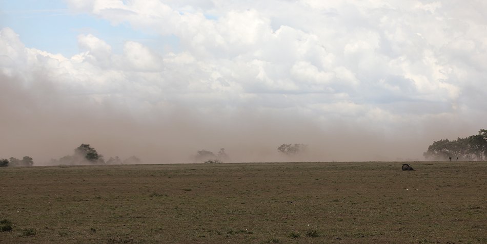 Sandsturm Masai Mara
