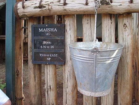 Sheldrick Wildlife Trust, Nairobi