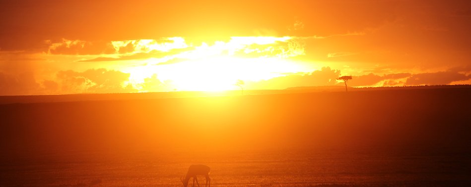 Sonnenuntergang Masai Mara