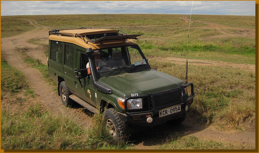 Wenn die Topi Kälber das Licht der Welt erblicken - 2 Wochen Safari in der Masai Mara