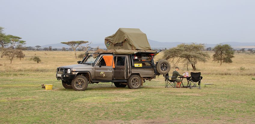 Dik Dik Campsite, Seronera - Serengeti