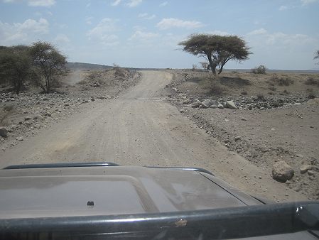 Ngorongoro Reservat