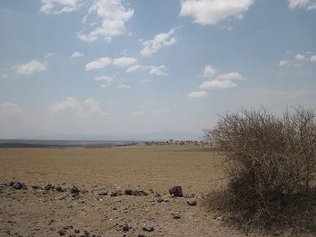 Ngorongoro Reservat