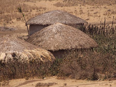 Ngorongoro Reservat