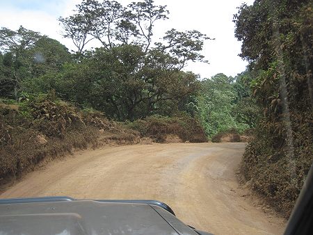 Piste hoch zum Ngorongoro Krater