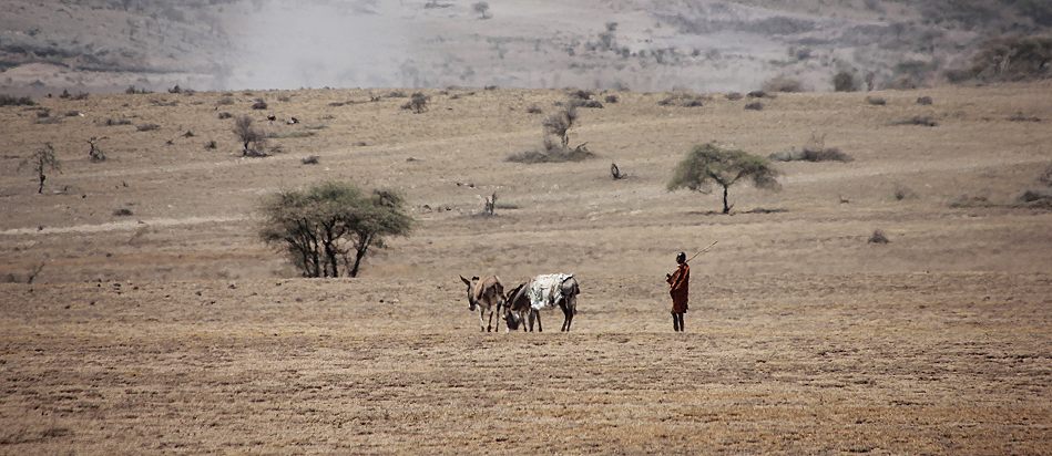 Ngorongoro Concervation Area