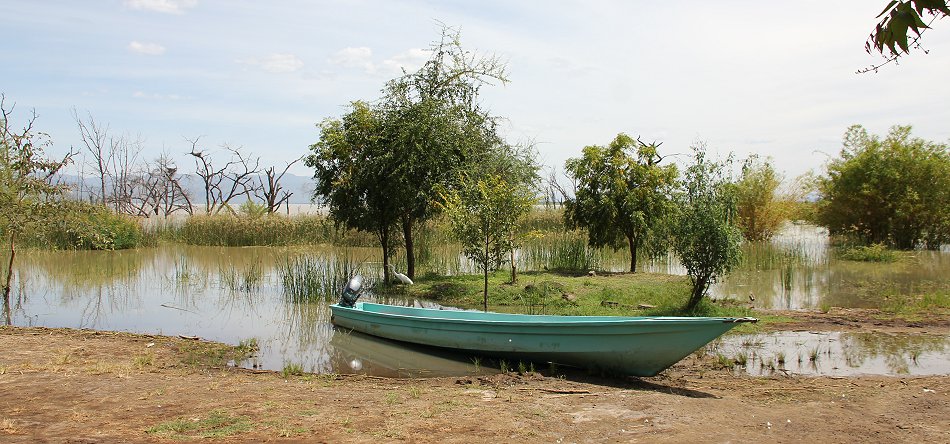 Lake Baringo Bootstour