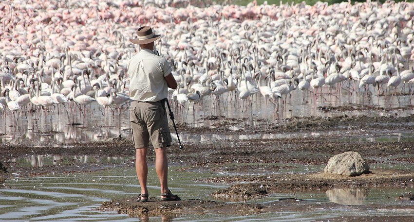 Lake Bogoria