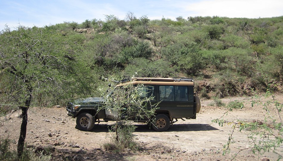 Lake Bogoria