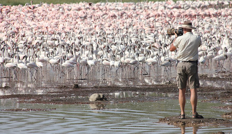Lake Bogoria