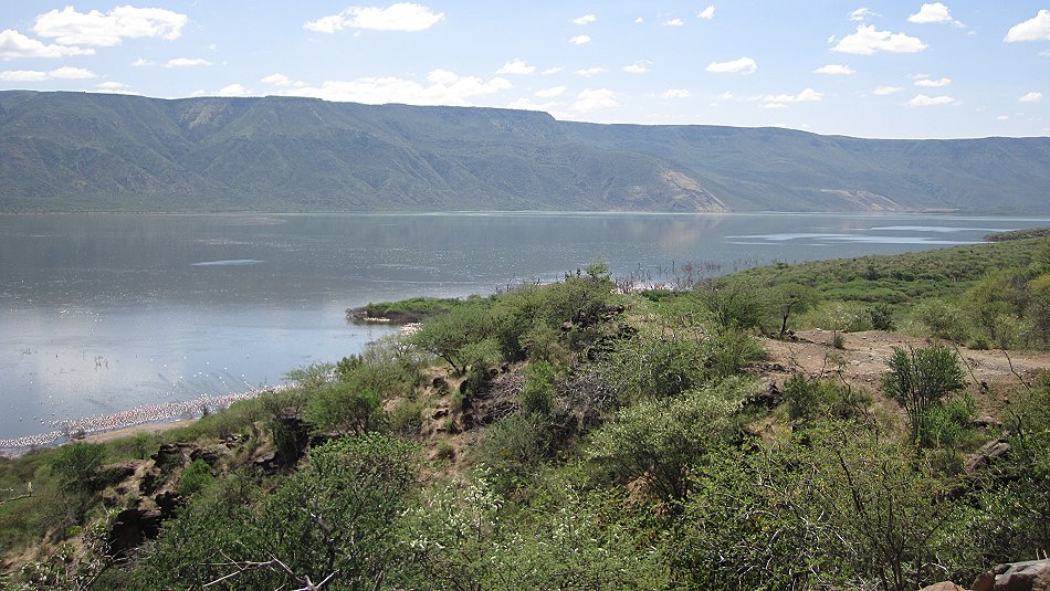 am Lake Bogoria