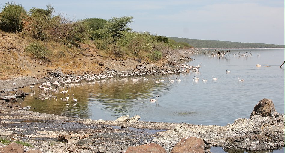 Lake Bogoria Hot Springs 2020