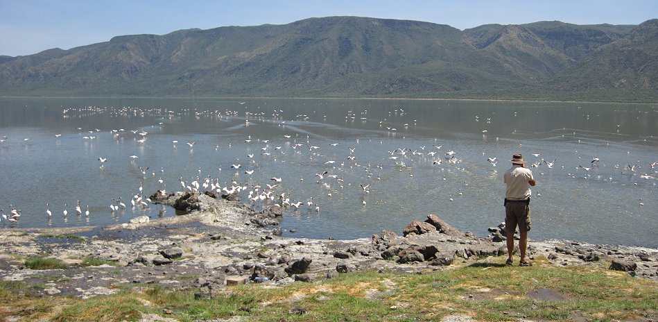 Lake Bogoria Hot Springs 2020