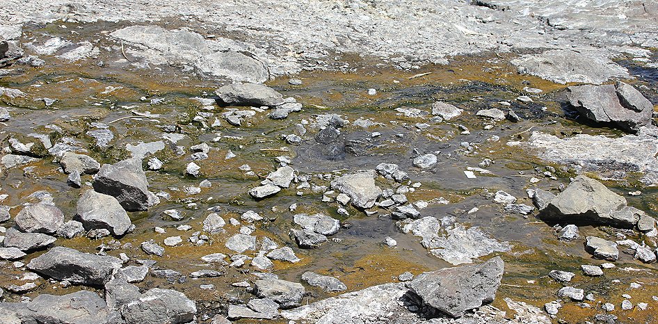 Lake Bogoria Hot Springs 2020