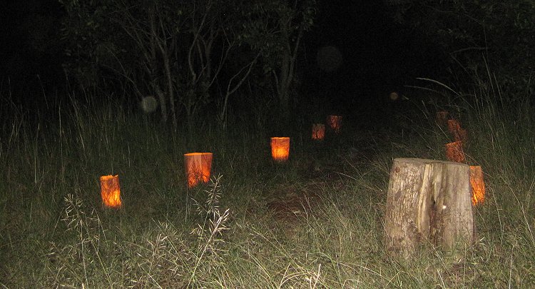Mara Bush Camp - Private Wing Bush Dinner