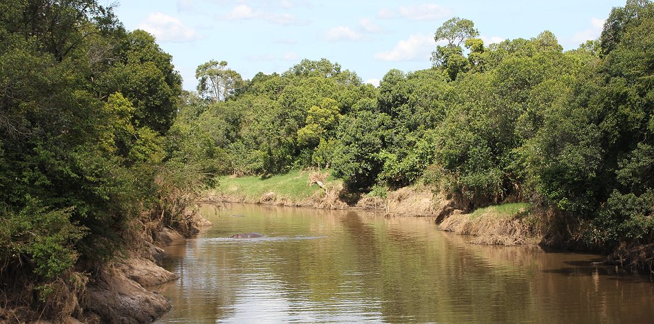 Mara Bush Camp