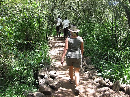 Mara Bush Camp and Private Wing, Sunworld Safaris