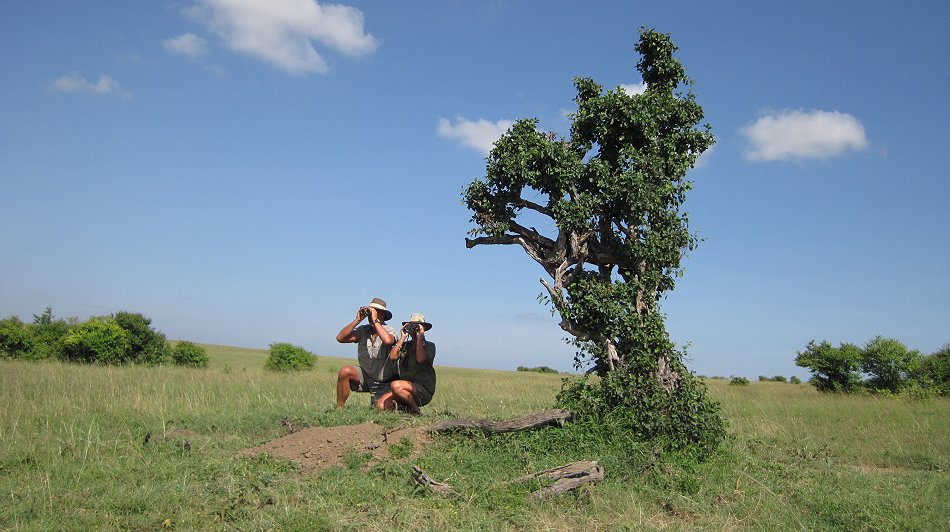 Buschfrühstück Masai Mara