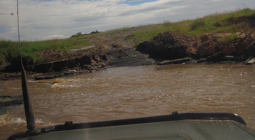 Double Crossing, Masai Mara