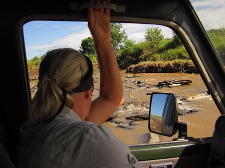 Double Crossing, Masai Mara
