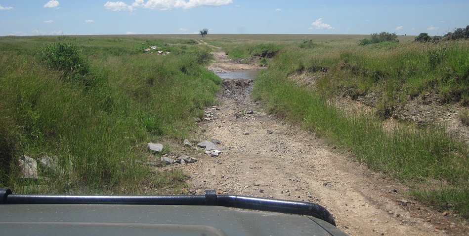 Double Crossing Masai Mara