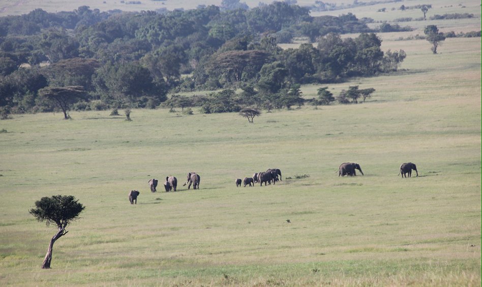 Mara Plains