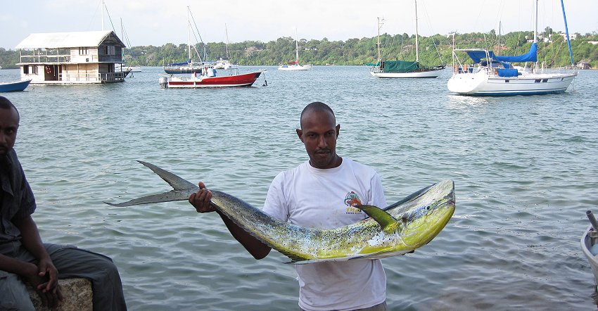 Kilifi Creek and Boatyard