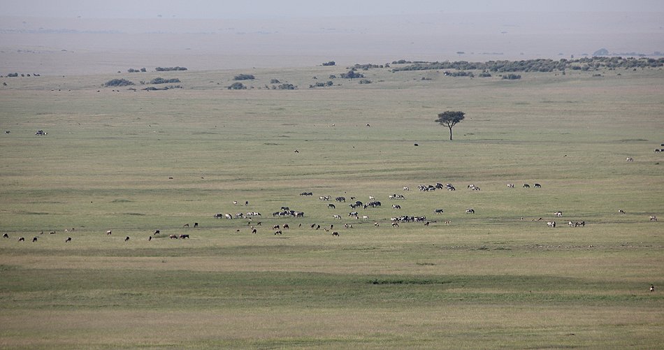 Mara Plains