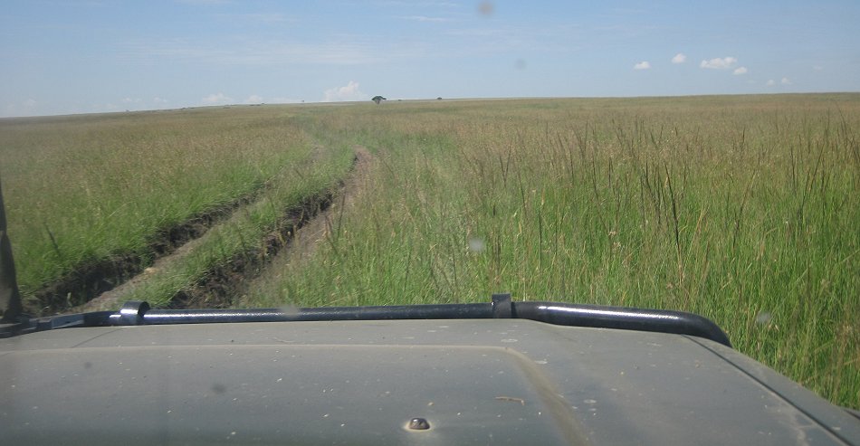 Black Soil in der Masai Mara