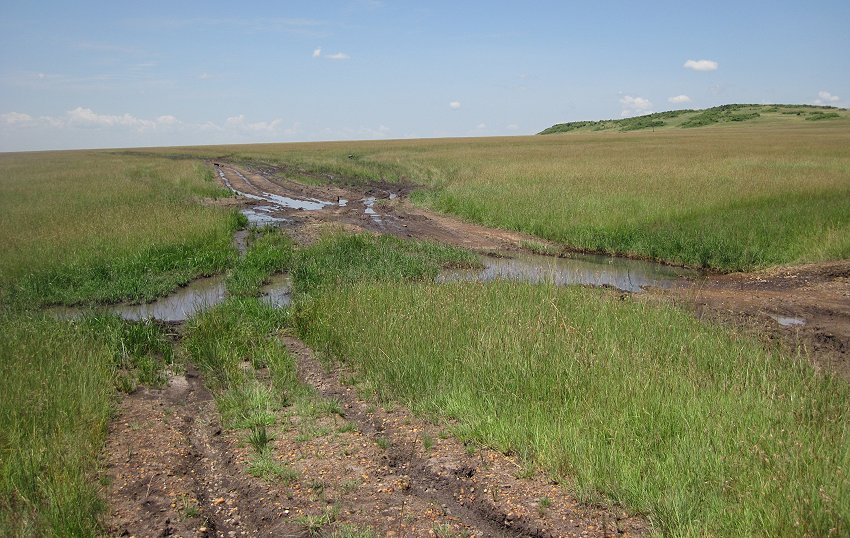 Black Soil in der Masai Mara