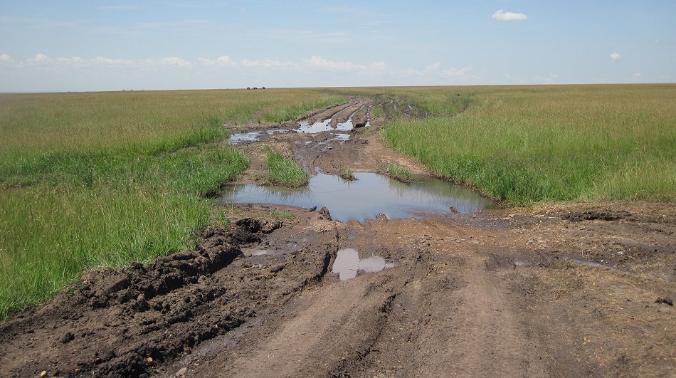 Black Soil in der Masai Mara