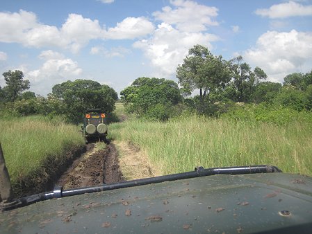 Quer durch die Masai Mara