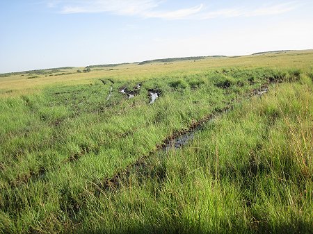 matschige, rutschige Masai Mara