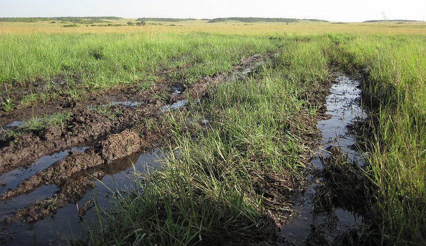 matschige, rutschige Masai Mara