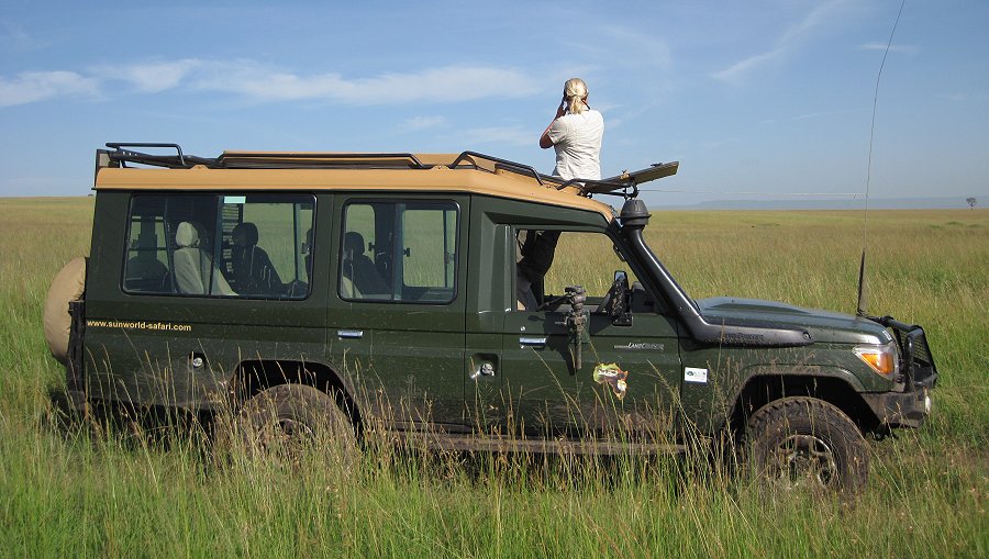 hohes Gras in der Masai Mara