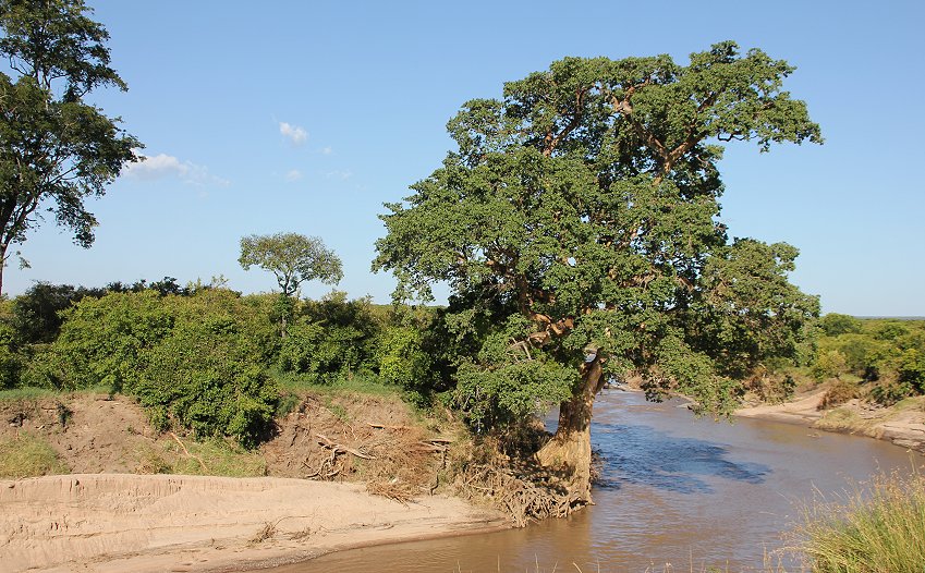 Masai Mara