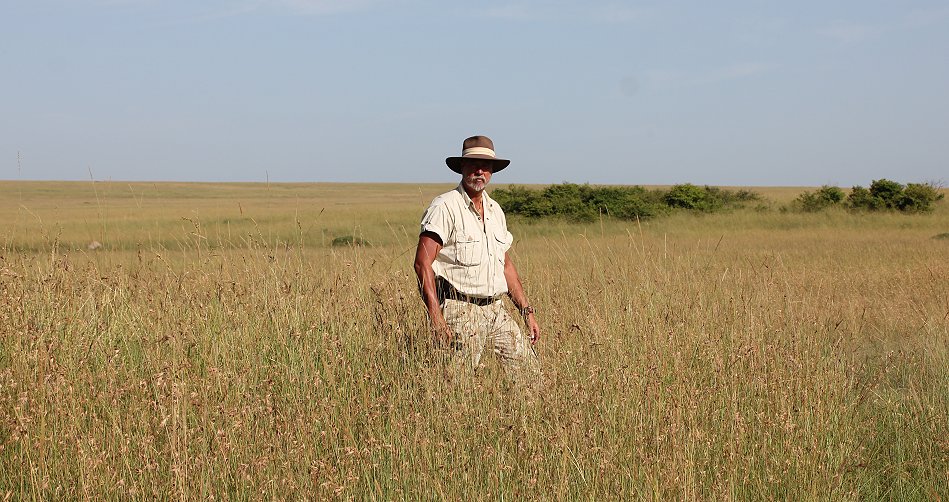 hohes Gras in der Masai Mara