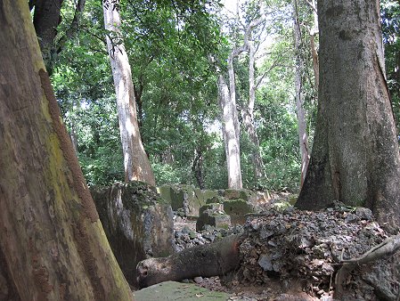 behind the Crab Den - Mtwapa Ruins