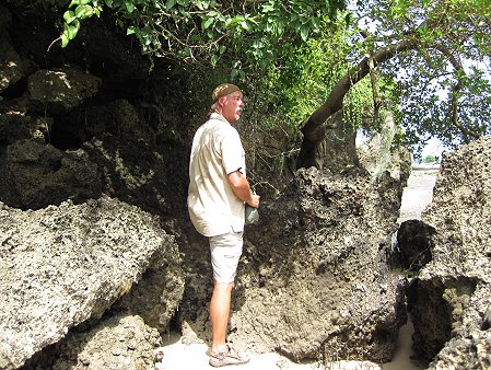 behind the Crab Den - Mtwapa Ruins