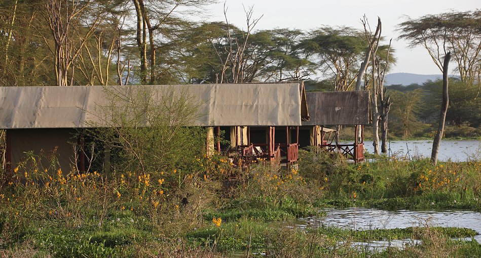 Naivasha Country Club und Kiboko Camp, Lake Naivasha