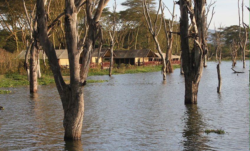 Naivasha Country Club und Kiboko Camp, Lake Naivasha