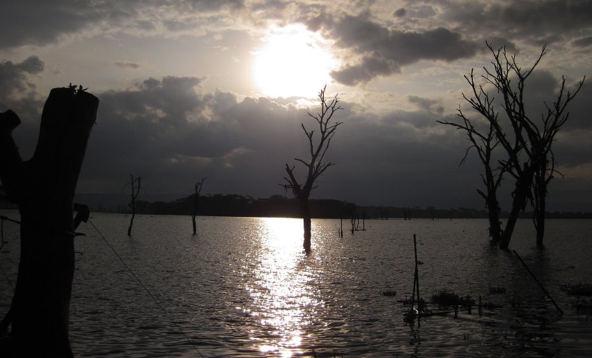 Naivasha Country Club und Kiboko Camp, Lake Naivasha