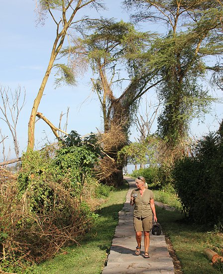 Naivasha Country Club und Kiboko Camp, Lake Naivasha
