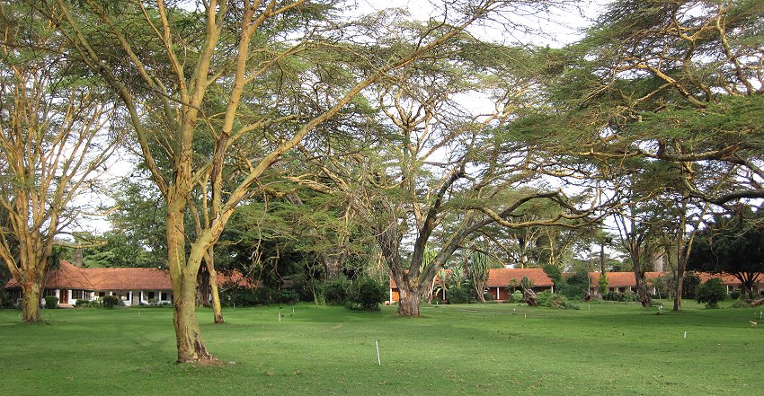 Naivasha Country Club und Kiboko Camp, Lake Naivasha